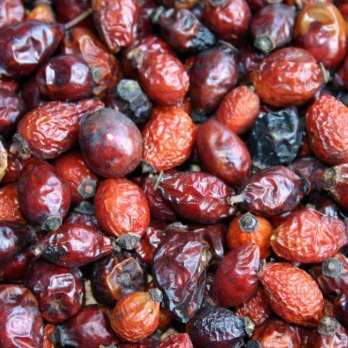 میوه نسترن (اوزان مختلف)